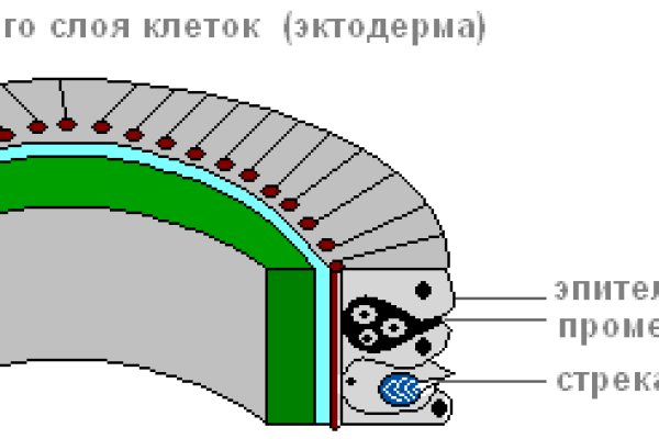 Кракен тор это