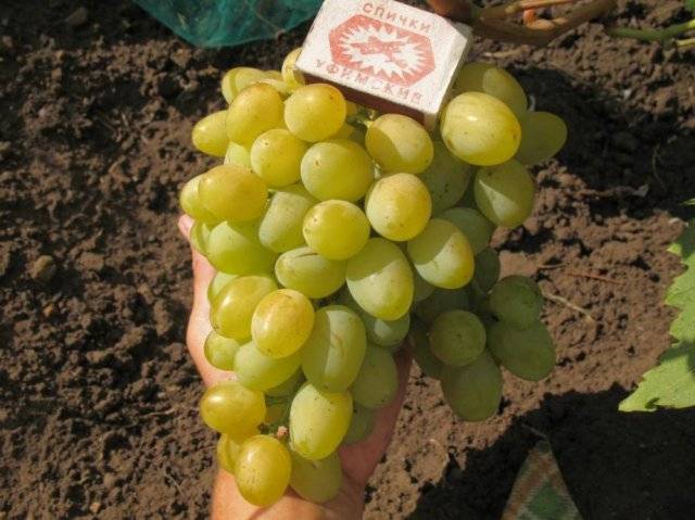 Кракен официальный сайт