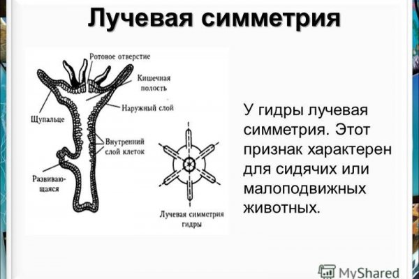 Кракен даркнет поддержка